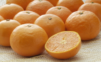 カラオレンジ　４ｋｇの特産品画像