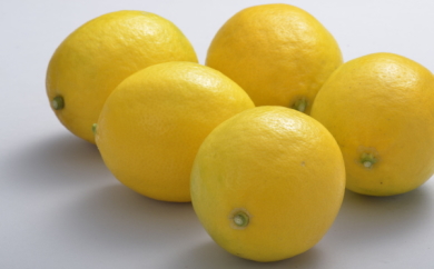 マイヤーレモン　５ｋｇの特産品画像