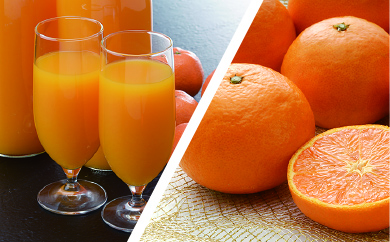 カラオレンジ＆季節のみかんジュースの特産品画像