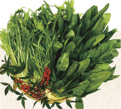 季節の近江野菜　サラダセットの特産品画像