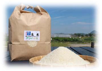 特別栽培米 近江米「生米（うまい）」の特産品画像