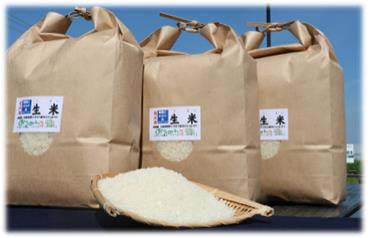 特別栽培米　近江米「生米（うまい）」の特産品画像