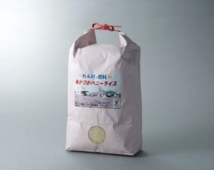 ハニーライス白米　キヌヒカリ　6ｋｇの特産品画像