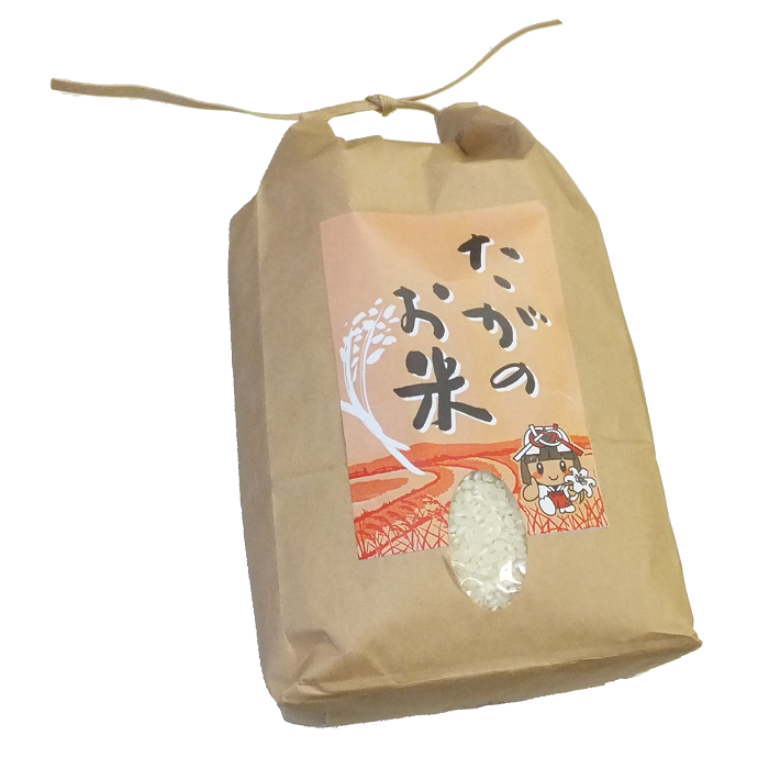 これぞ自然の恵み！おいしい多賀のお米　キヌヒカリの特産品画像