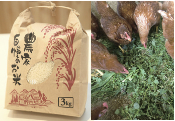 特別栽培米と平飼い卵のセットの特産品画像