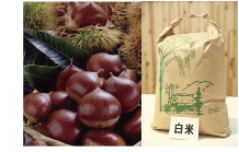 丹波の贈り物(4)新米綾部産コシヒカリと丹波栗のセットの特産品画像