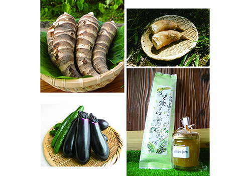 京都山城産の季節の野菜などの詰め合わせの特産品画像