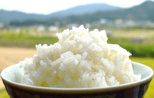 京の豆っこ米の特産品画像