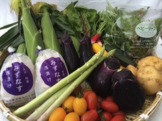 泉州TONOファームの季節の野菜と自家製お漬物セット（小）の特産品画像
