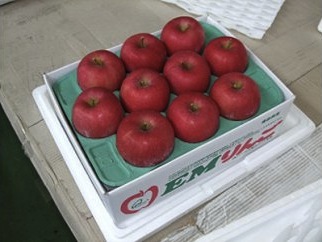 りんご（サンつがる）　3kgの特産品画像