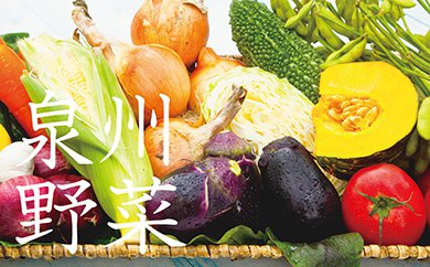 季節の泉州野菜セット(大)半年セット(毎月6回発送)の特産品画像