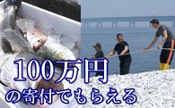 地曳網漁業体験＆新鮮な海の幸バーベキュー！の特産品画像