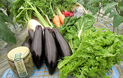 野菜とピクルスのセットの特産品画像