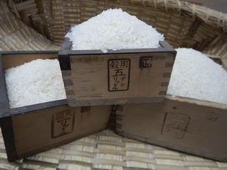 厳選いずみ米（白米5kg)の特産品画像