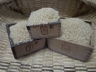 厳選いずみ米（玄米30kg）の特産品画像