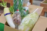 能勢季節の野菜セット　★4～12月の特産品画像