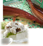 ハヤカワ水産　紀淡海峡の恵み・泉州みさき旬の魚/骨切り鱧01の特産品画像