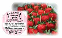 加古川産苺のシャーベットの特産品画像