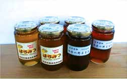 地場産純粋蜂蜜セット（6本）の特産品画像