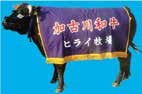 自社牧場加古川和牛一頭（ホルモン付）の特産品画像
