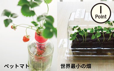 ペットマト＆ミニチュアビニールハウス栽培キット「世界最小の畑」の特産品画像