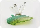ガラスの蝶　モンシロチョウonリーフの特産品画像