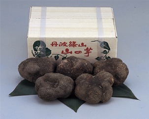 丹波山の芋　優品約1.5ｋｇの特産品画像