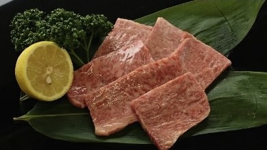 丹波篠山東門牛至宝の焼き肉セット（500ｇ）の特産品画像