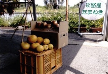 淡路島産たまねぎと旬の果物セットの特産品画像
