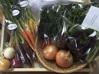 スティックニンジンと季節の彩り野菜セットの特産品画像