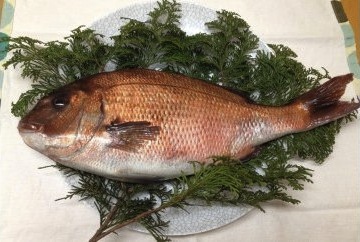 明石海峡・旬の鮮魚の特産品画像