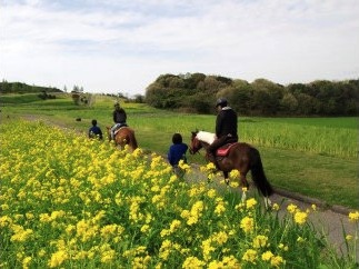 乗馬散歩「花さじき散歩コース」割引券の特産品画像