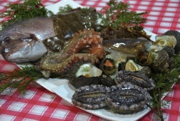 淡路島の四季の天然魚貝の特産品画像