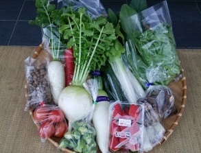 加東市産の安全・安心減農薬の新鮮季節野菜と果物の詰合せの特産品画像