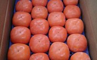 刀根早生(とねわせ)柿の特産品画像