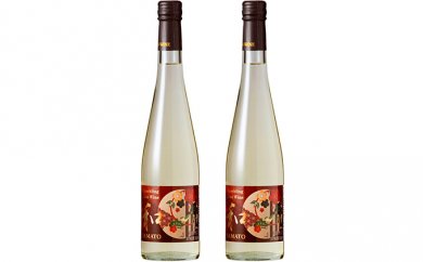 スパークリング梅ワイン2本セットの特産品画像