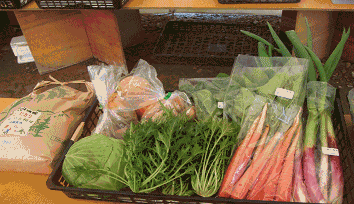 季節の地場野菜等セットの特産品画像