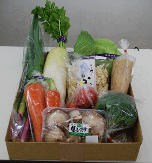 季節の「ふるさと野菜」詰合せ　 JAならけん　川東支店の特産品画像