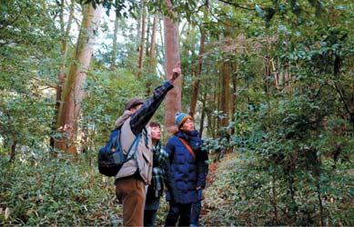 森林セラピー体験ツアー ペアチケットの特産品画像