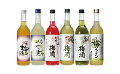紀州の贅沢三昧梅酒ワインセットの特産品画像