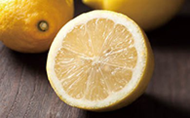 観音山レモン4kgの特産品画像