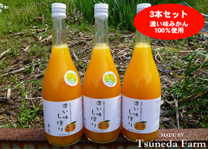 【常田農園】みかんジュース「濃い味しぼり」3本セットの特産品画像