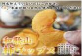 やわらか柿チップス(80g) 10パック（紀州味紀行 柿和歌）の特産品画像