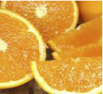 清見オレンジ[約8kg]和歌山県産 春みかん(果実サイズおまかせ)の特産品画像