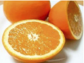 希少な国産バレンシアオレンジ　5キロの特産品画像