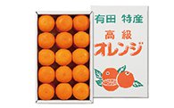 ダンボール入り　有田産　カラオレンジの特産品画像