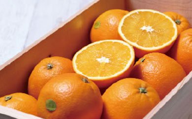 木箱入り　和歌山産　大玉　ネーブルオレンジの特産品画像