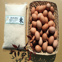 さかもと農園の紀州うめ卵・有精卵とコシヒカリ5キロのセットの特産品画像