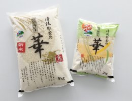 特別栽培米 清流白金の華 お米セットの特産品画像