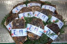 鳥取県産天然岩ガキの特産品画像